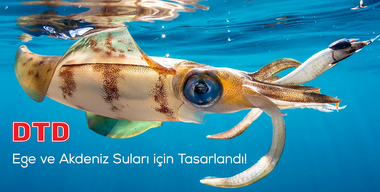 DTD Kalamar Zokaları